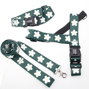 Unleash the Fun: Discover Our Pet Vest Style Leash Harness Set