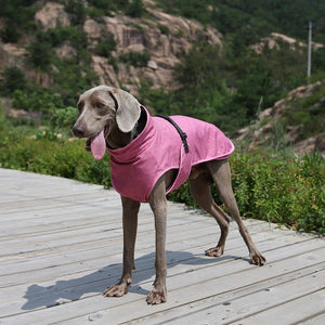Winter Outdoor Ski Suit Pet Shell Jacket: The Ultimate Winter Wear for Your Pet