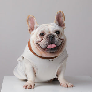 Unleash Style and Comfort with Our Pet Functional Vest Leisure Apparel