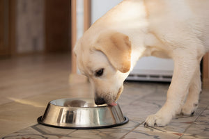 Making Feeding Time Easy and Healthy