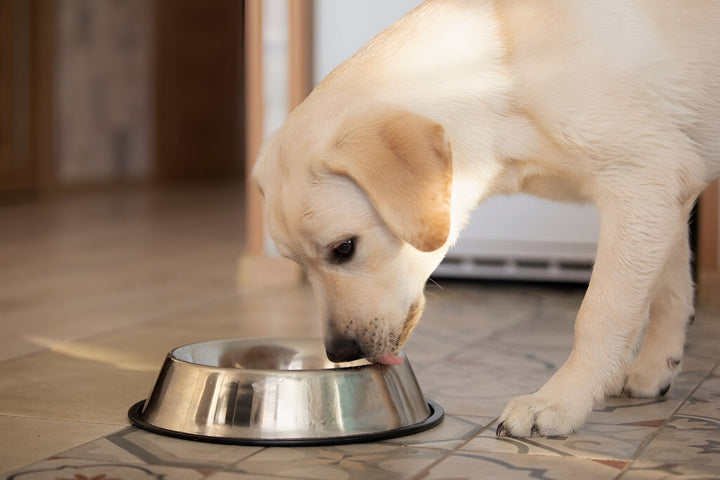 Making Feeding Time Easy and Healthy