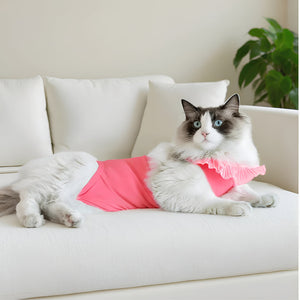 Dressing Your Pet in Style and Comfort