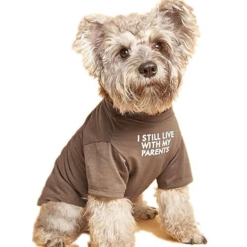 Pet Round Neck T-Shirt Clothing Apparel