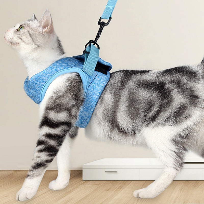 Breathable Lightweight Pet Leash With Chest Strap