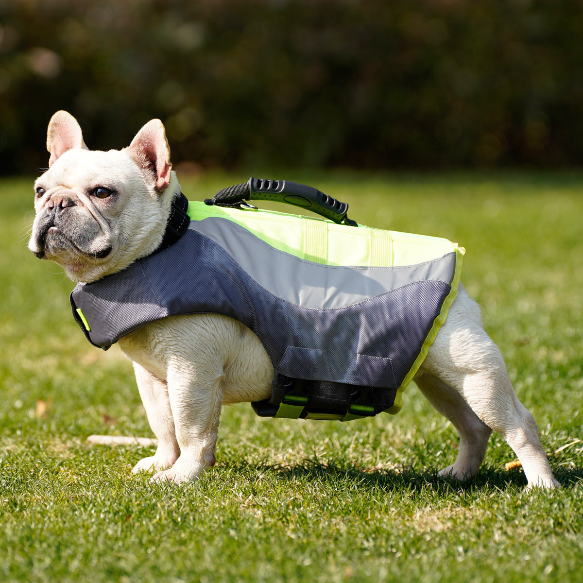 Reflective Pet Life Safety Swimsuit Jacket
