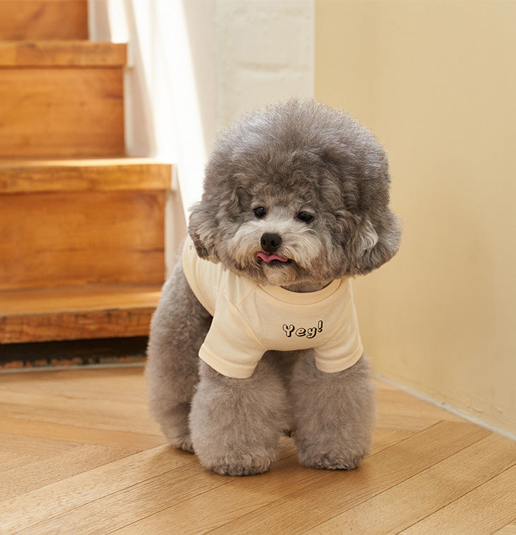 Korean Style Pet Cotton Short Sleeve T-Shirt