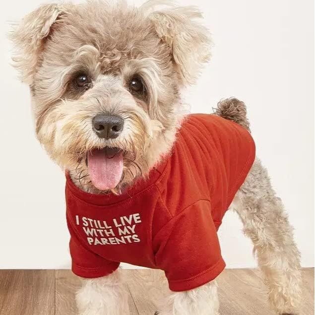 Pet Round Neck T-Shirt Clothing Apparel