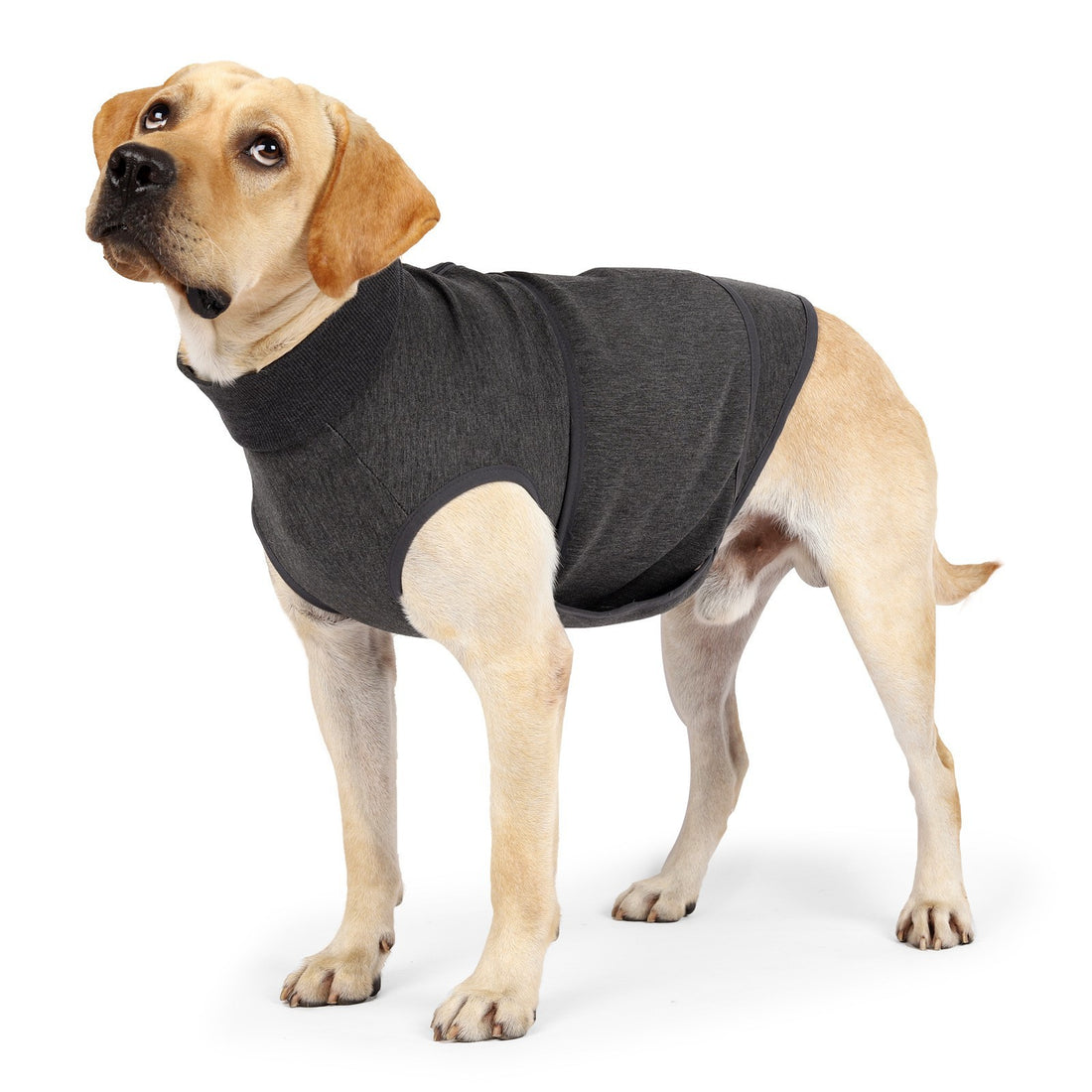 Pet Comfort Cotton Double Layer Jacket Clothing