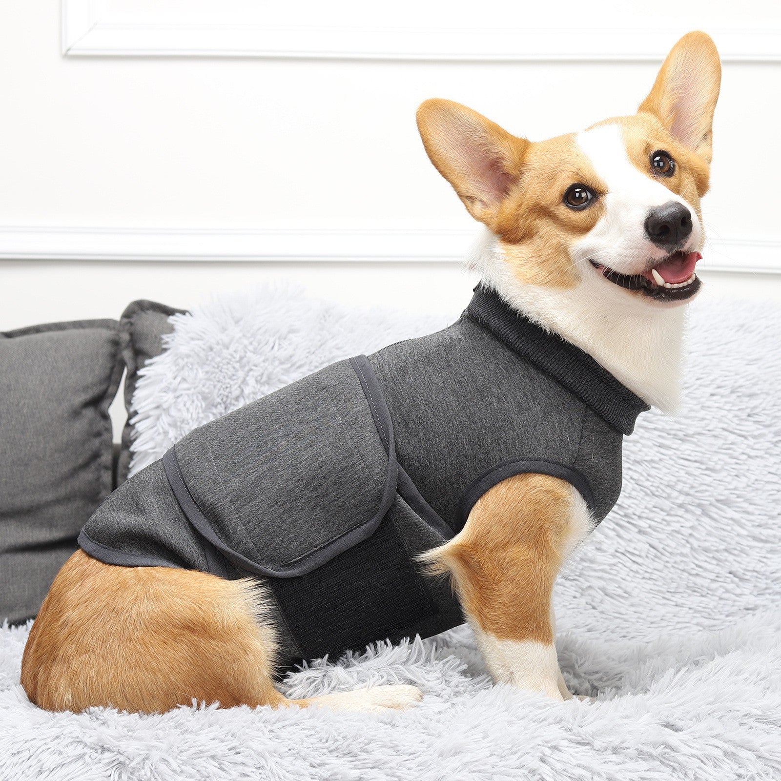 Pet Comfort Cotton Double Layer Jacket Clothing