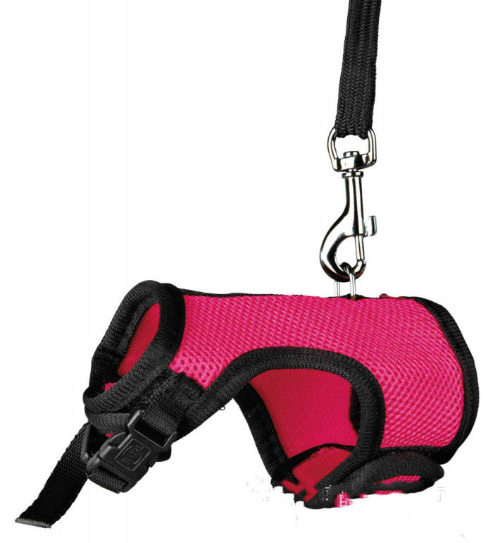 Adjustable Small Pet Leash For Walking