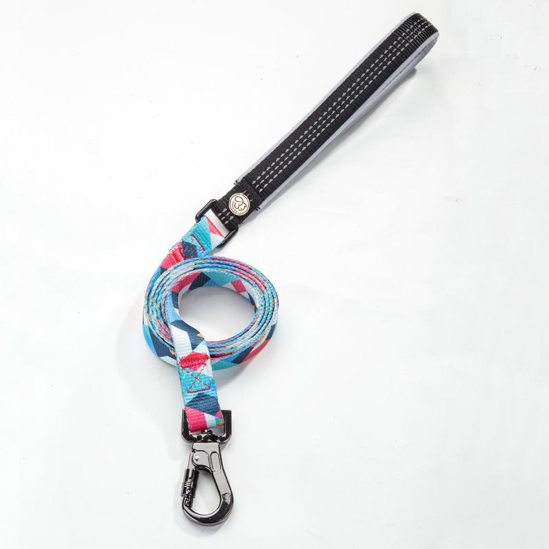 Pet Leash Durable Walking Strap For Pets
