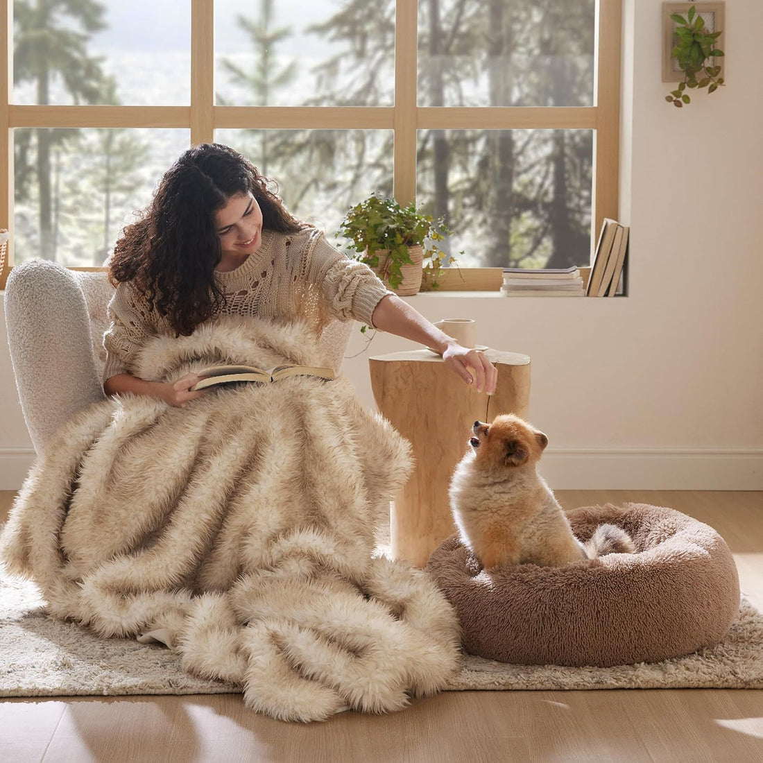 Pet Solid Color Non-Slip Round Plush Bed