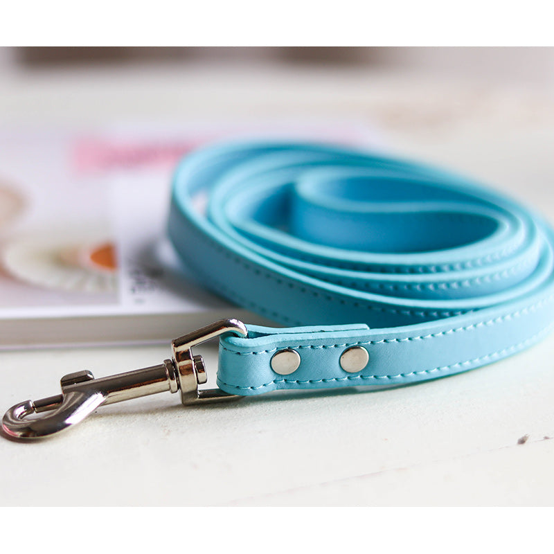 Pet Leash With Adjustable Collar