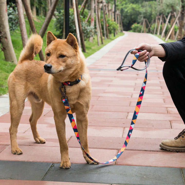 Pet Leash Durable Walking Strap For Pets