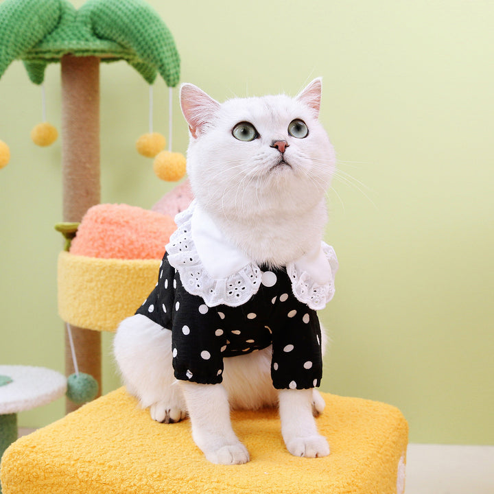 Pet Blue Ragdoll T-Shirt Clothing Apparel