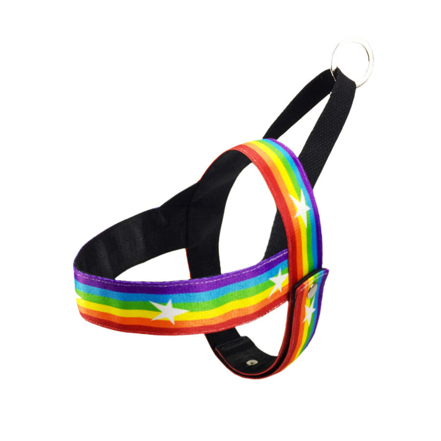 Rainbow Pet Chain Leash Stylish Walking Strap