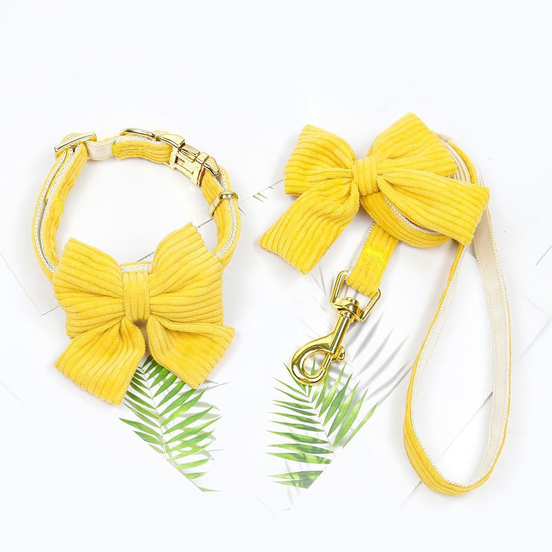 Pet Leash And Harness Outdoor Walking Set