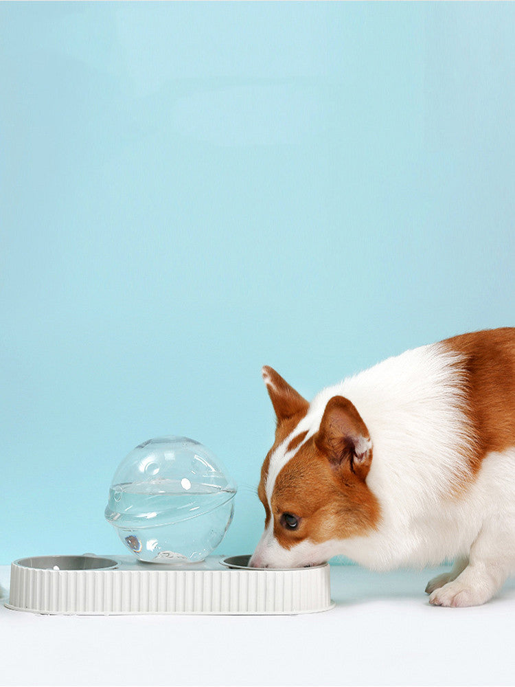 Pet Automatic Feeding Drinking Bowl Plastic Water Dispenser