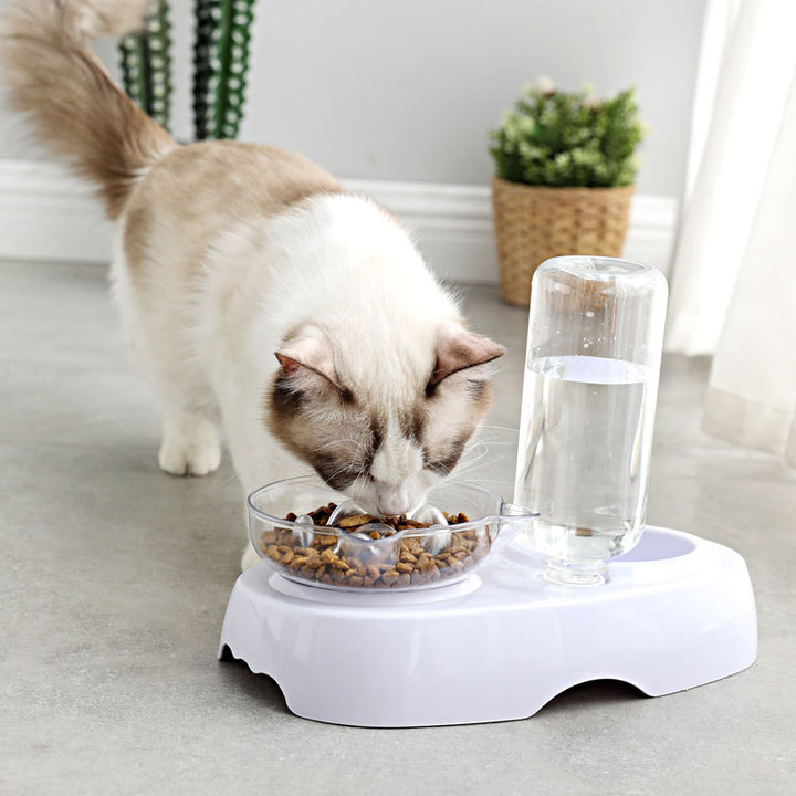 Pet Transparent Feeding Drinking Bowl Plastic Design