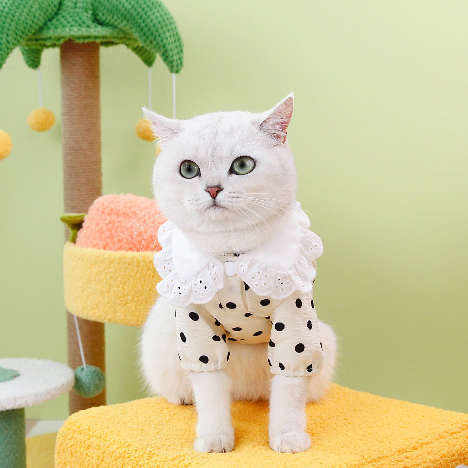 Pet Blue Ragdoll T-Shirt Clothing Apparel