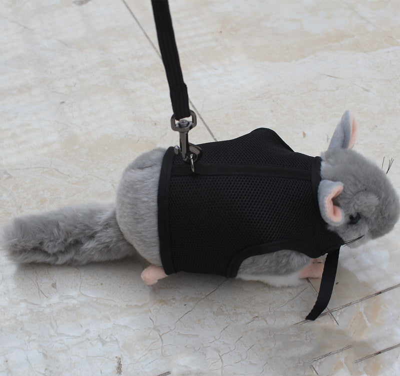 Adjustable Small Pet Leash For Walking