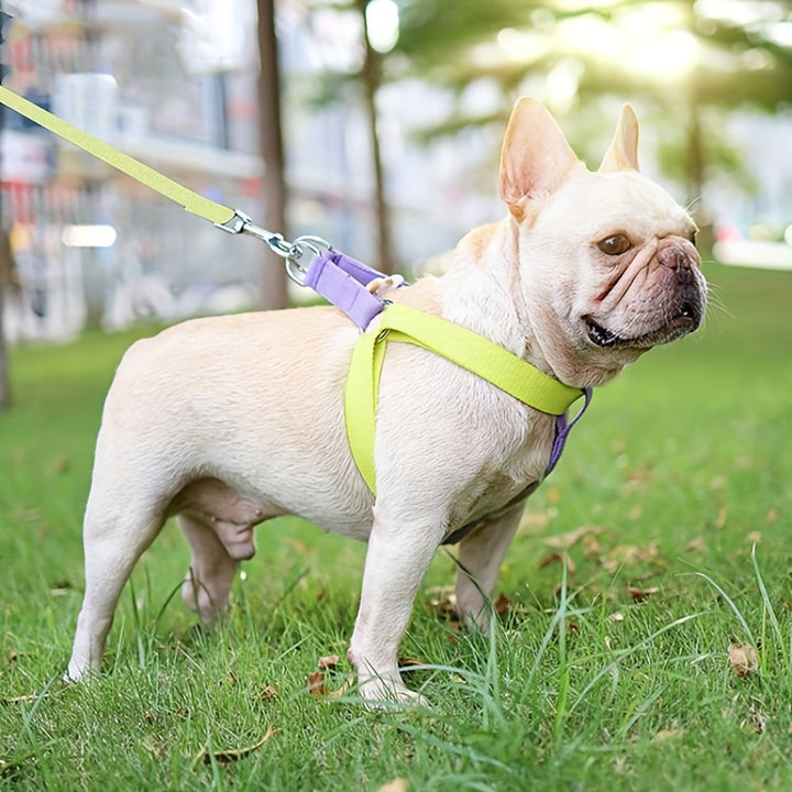 Rainbow Colorblock Pet Harness Set Anti-Escape Chest Leash