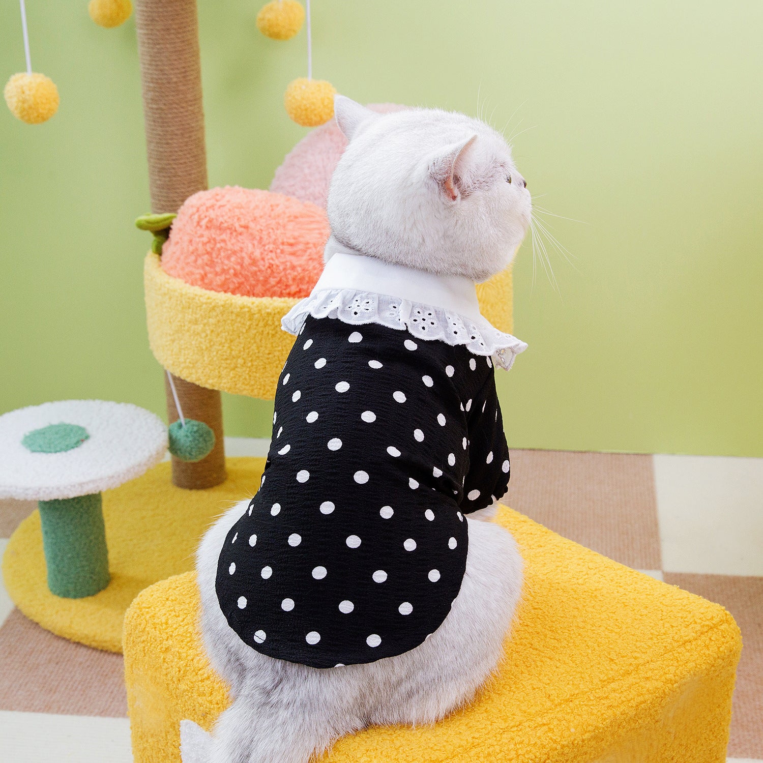 Pet Blue Ragdoll T-Shirt Clothing Apparel