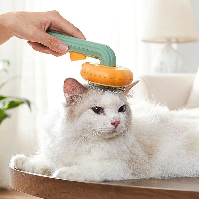 Pet Pumpkin Self-Cleaning Slicker Brush For Grooming