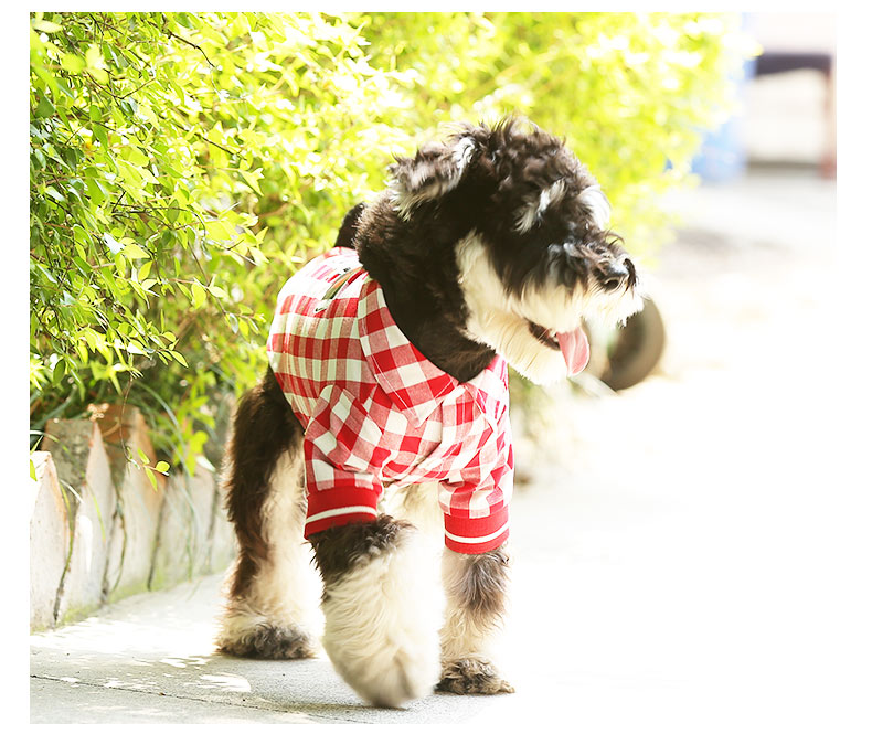 Pet Summer Graphic T-Shirt Clothing