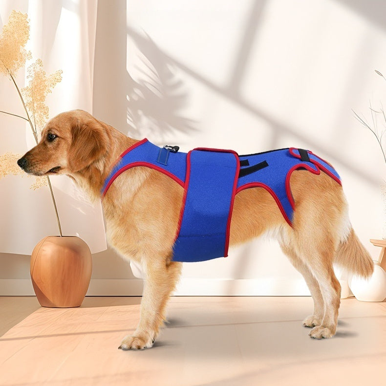 Pet Spine Support Jacket Corrects Posture And Prevents Hunching