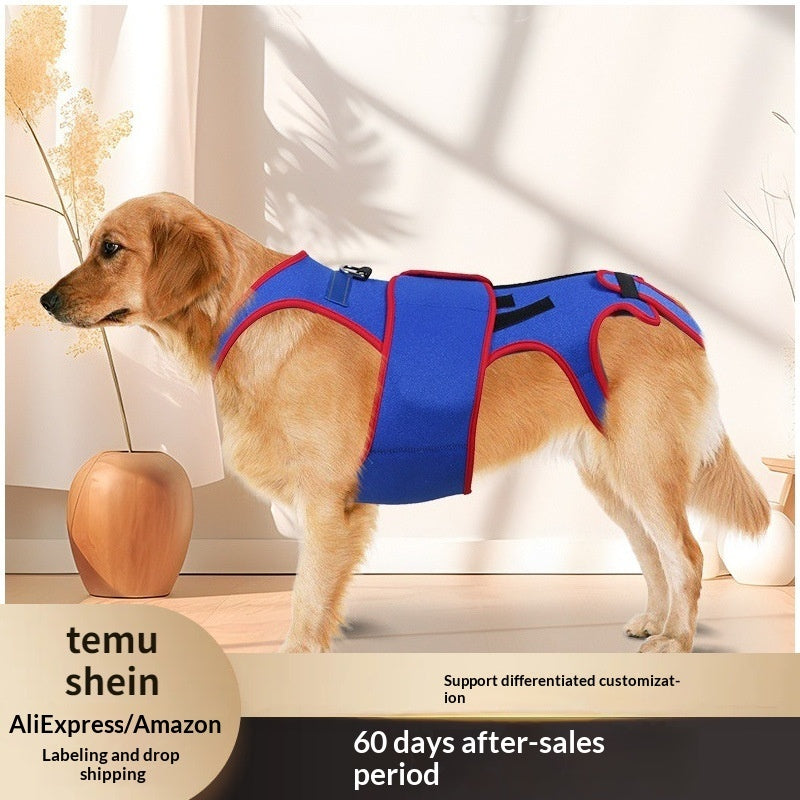 Pet Spine Support Jacket Corrects Posture And Prevents Hunching
