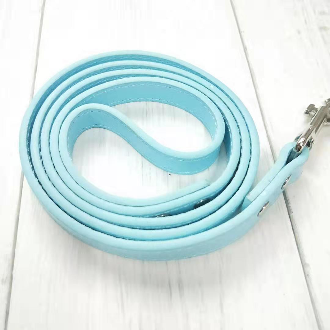 Pet Leash With Adjustable Collar