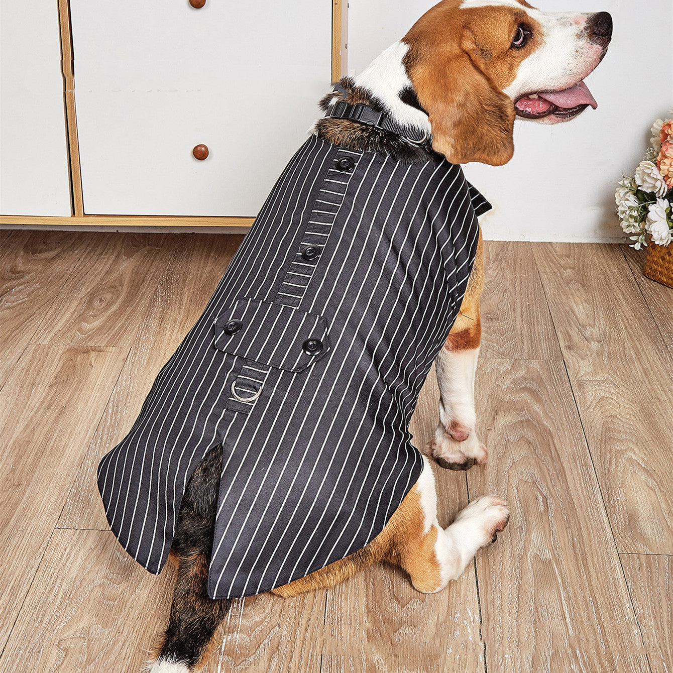 Pet Wedding Suit Swallowtail Jacket Clothing