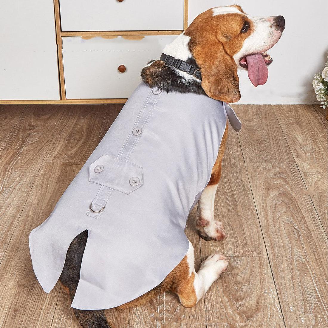 Pet Wedding Suit Swallowtail Jacket Clothing