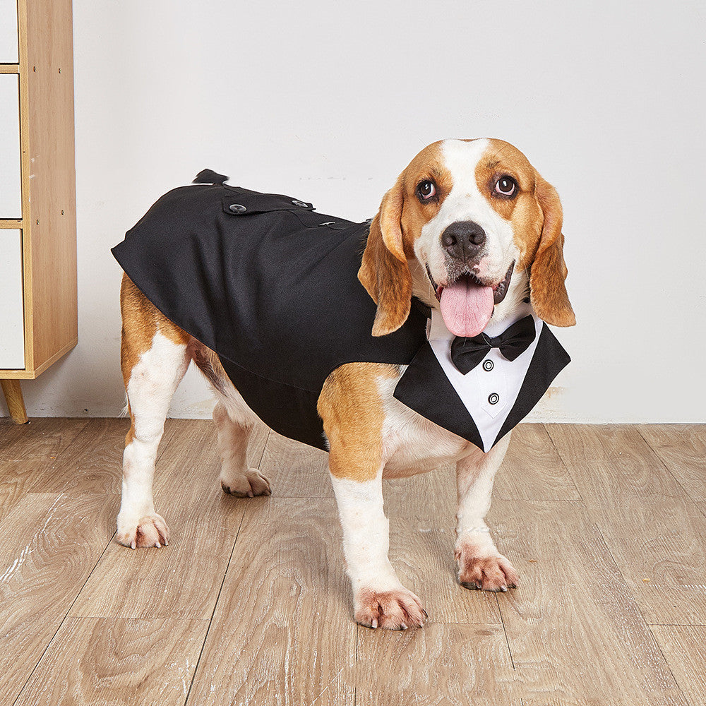 Pet Wedding Suit Swallowtail Jacket Clothing