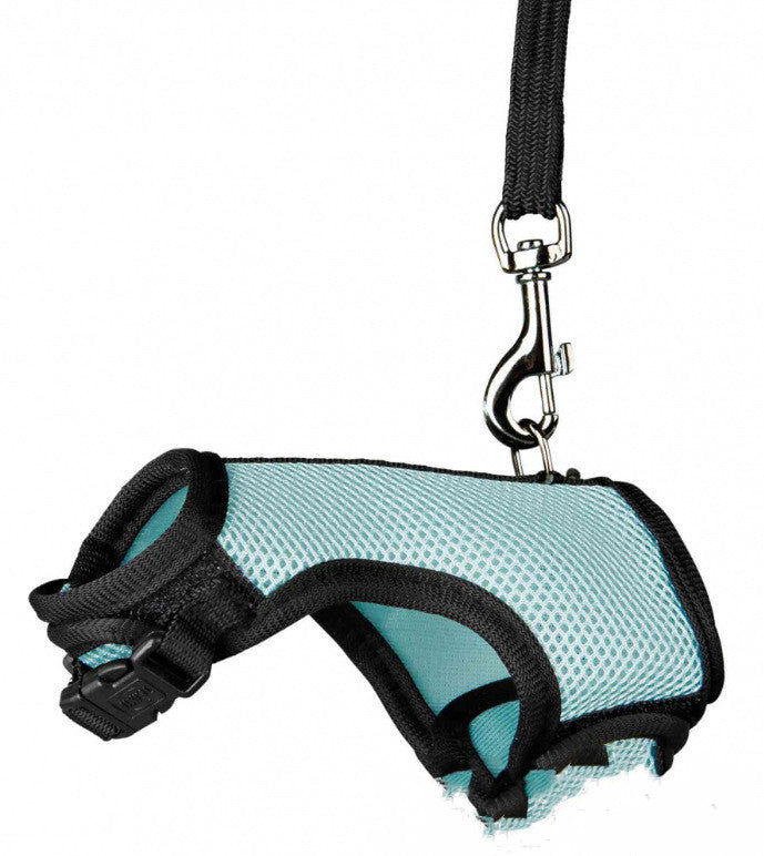Adjustable Small Pet Leash For Walking