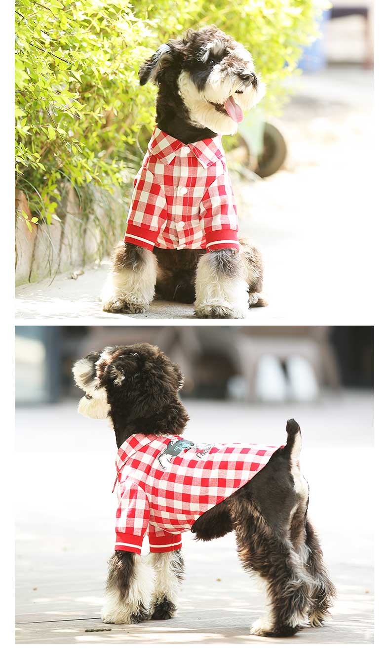 Pet Summer Graphic T-Shirt Clothing