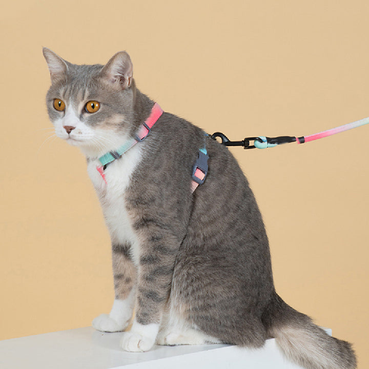 Pet Fashion Anti-Escape Harness With Leash Set