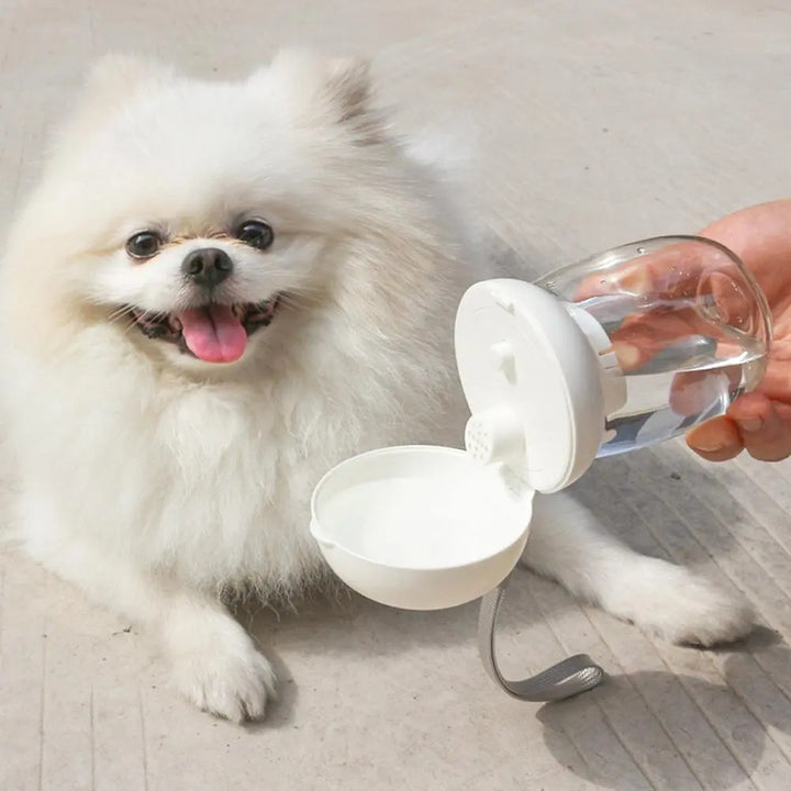 Pet Portable Water Bottle Travel Drinking Bowl Lanyard Feeder