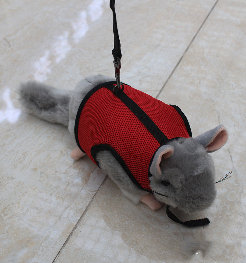 Adjustable Small Pet Leash For Walking