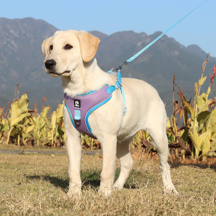 Pet Breathable Adjustable Harness With Leash Set