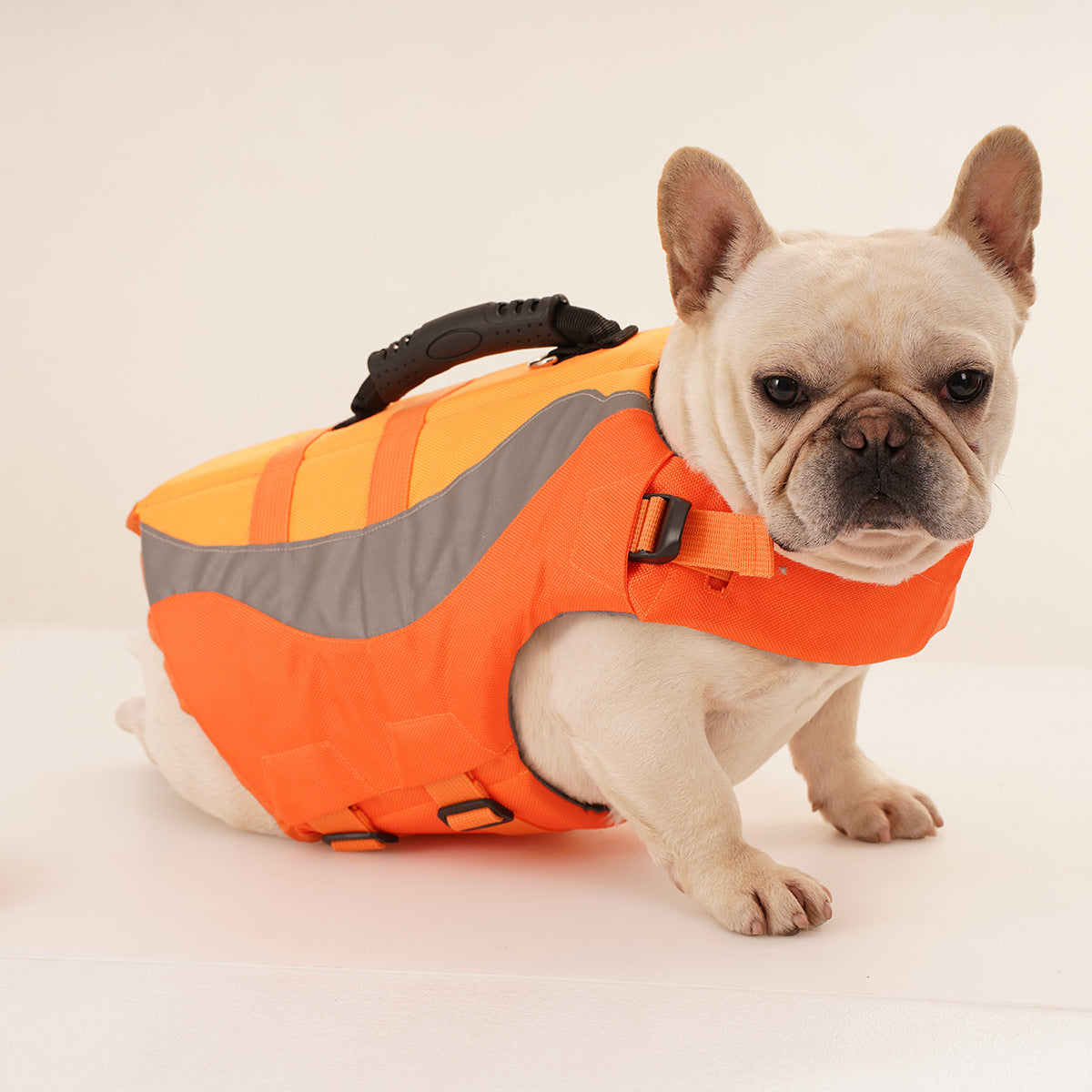 Reflective Pet Life Safety Swimsuit Jacket