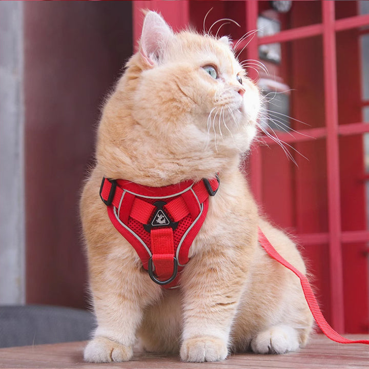 Pet Harness Vest Adjustable Chest Strap With Leash