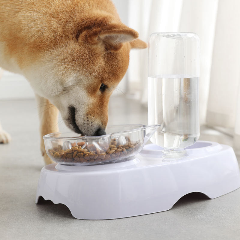 Pet Transparent Feeding Drinking Bowl Plastic Design