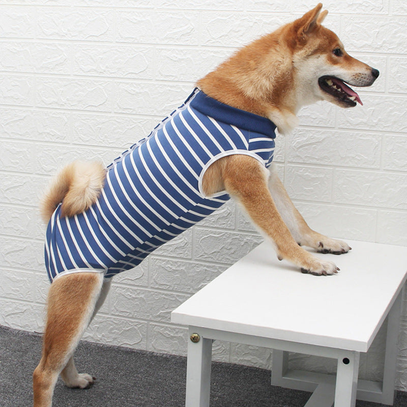 Multicolor Fashion Pet Clothing Stylish Apparel