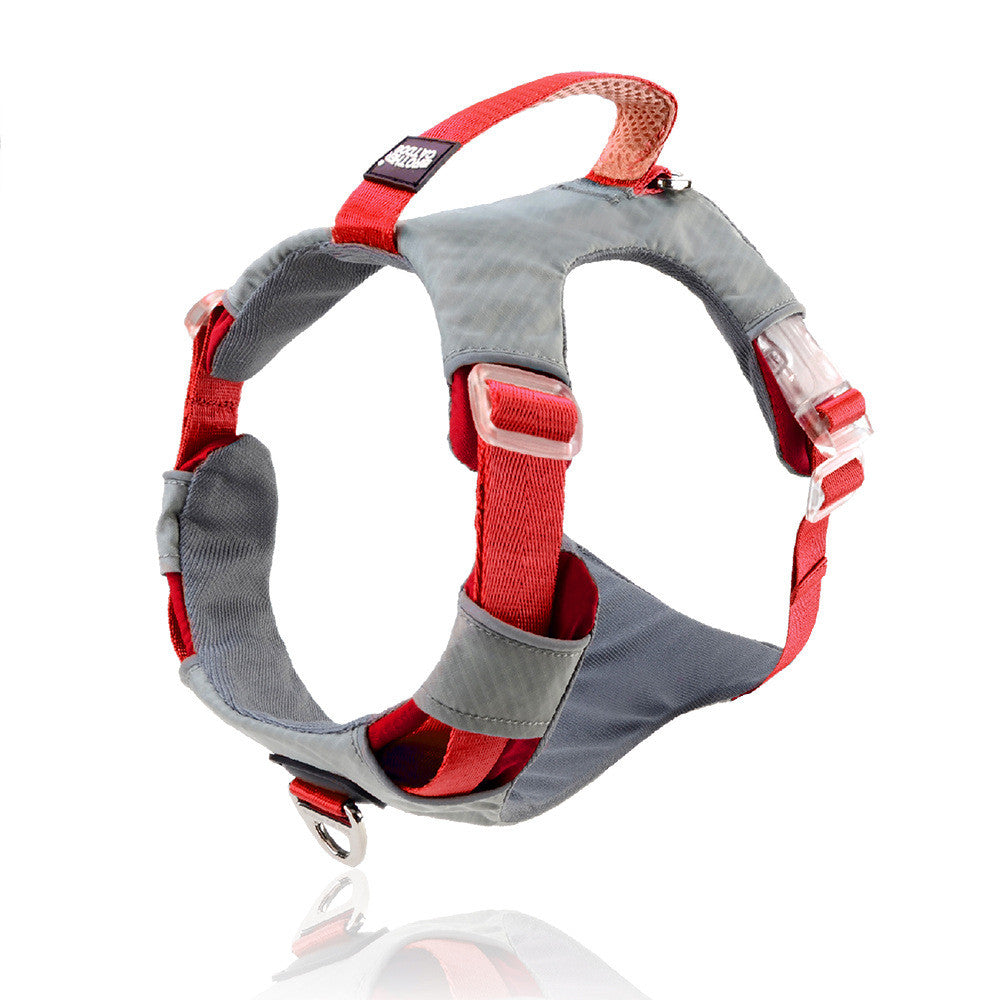 Pet Explosion Proof Chest Strap Leash Storage Bag Set