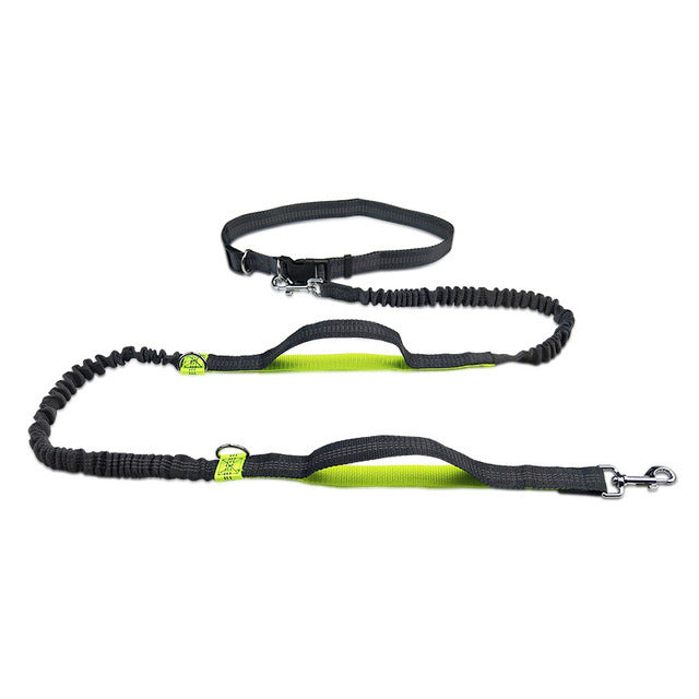Adjustable Pet Harness And Jogging Leash Set