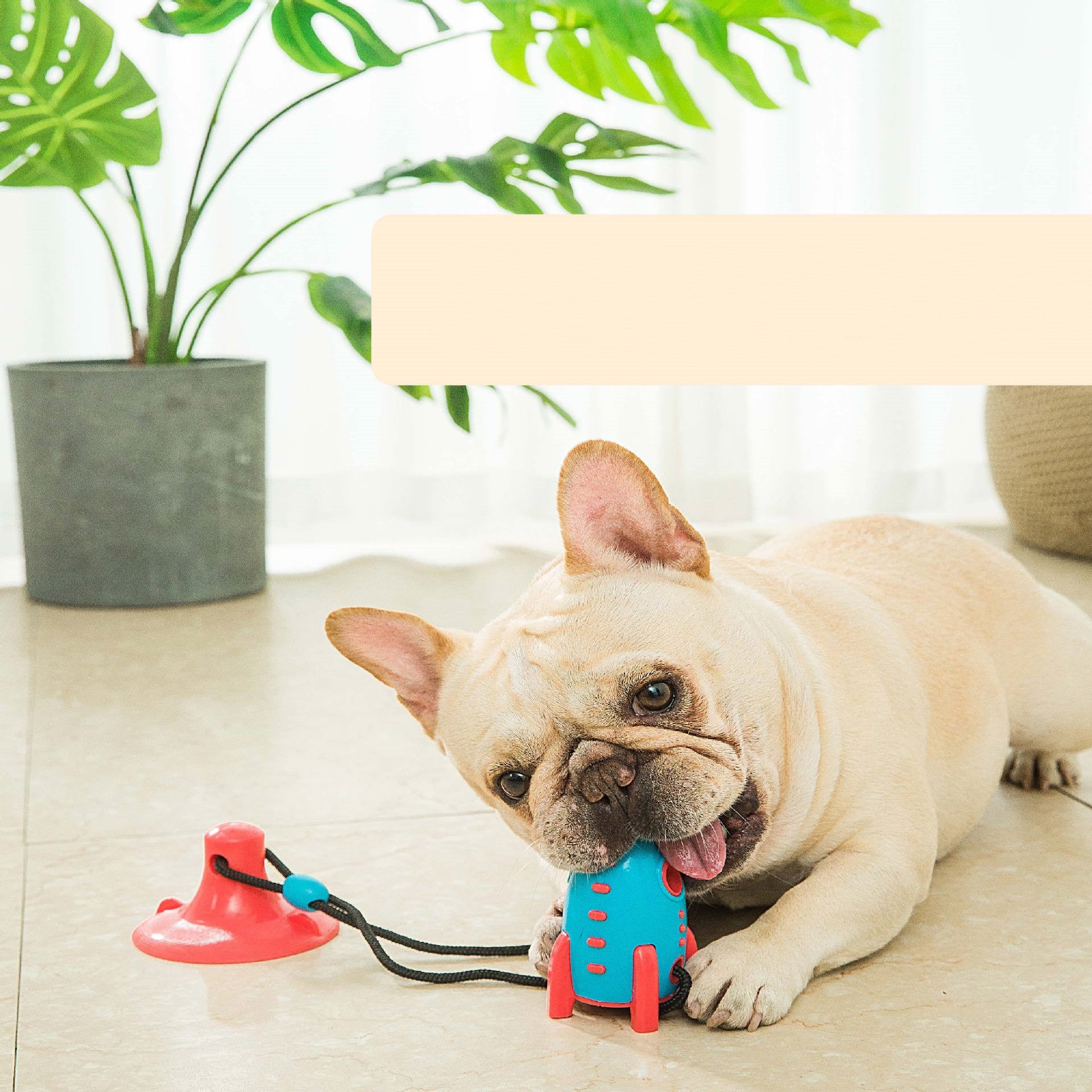 Bite-Resistant Pet Toy Food-Dispensing Chew Toy