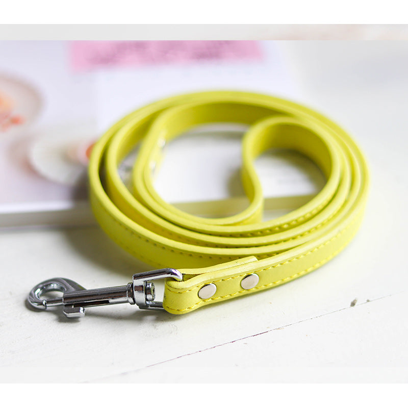 Pet Leash With Adjustable Collar