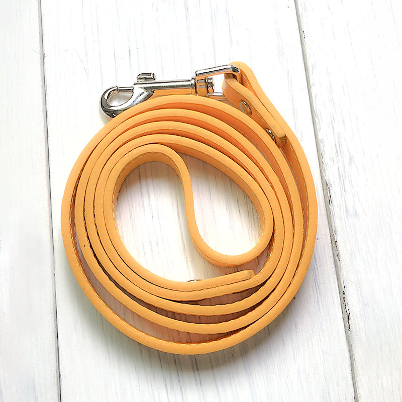 Pet Leash With Adjustable Collar